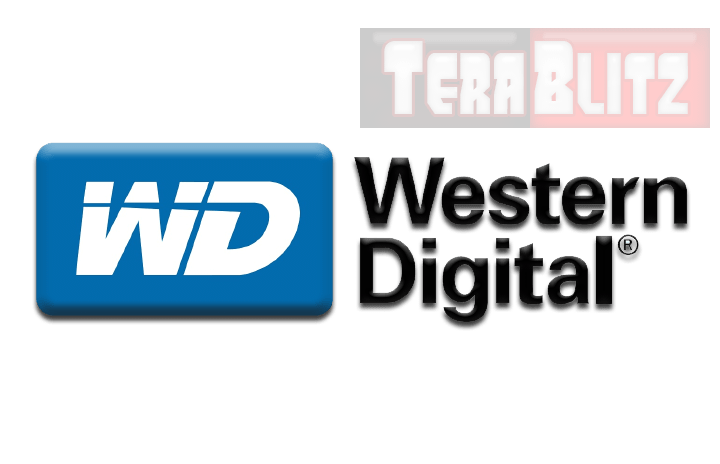 technews-western-digital-pidrive-314Gb